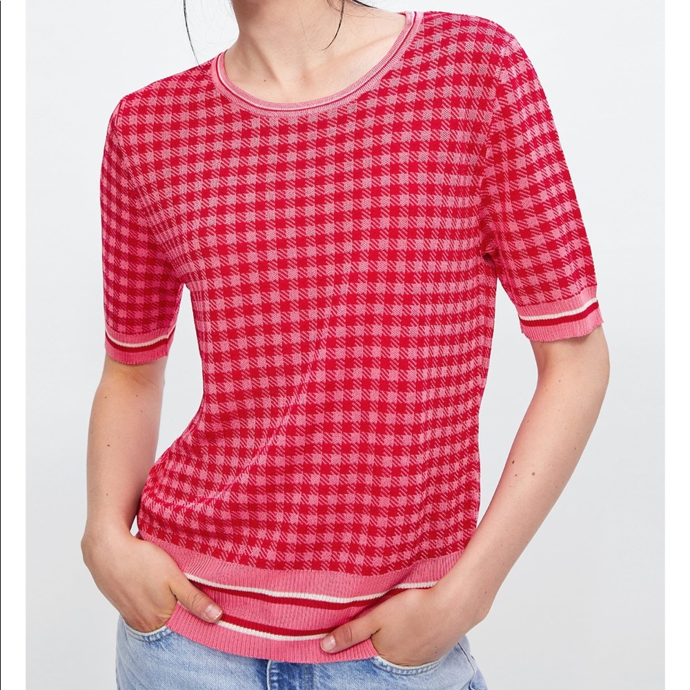 GORGEOUS ZARA NWT Stripe Pink Sweater